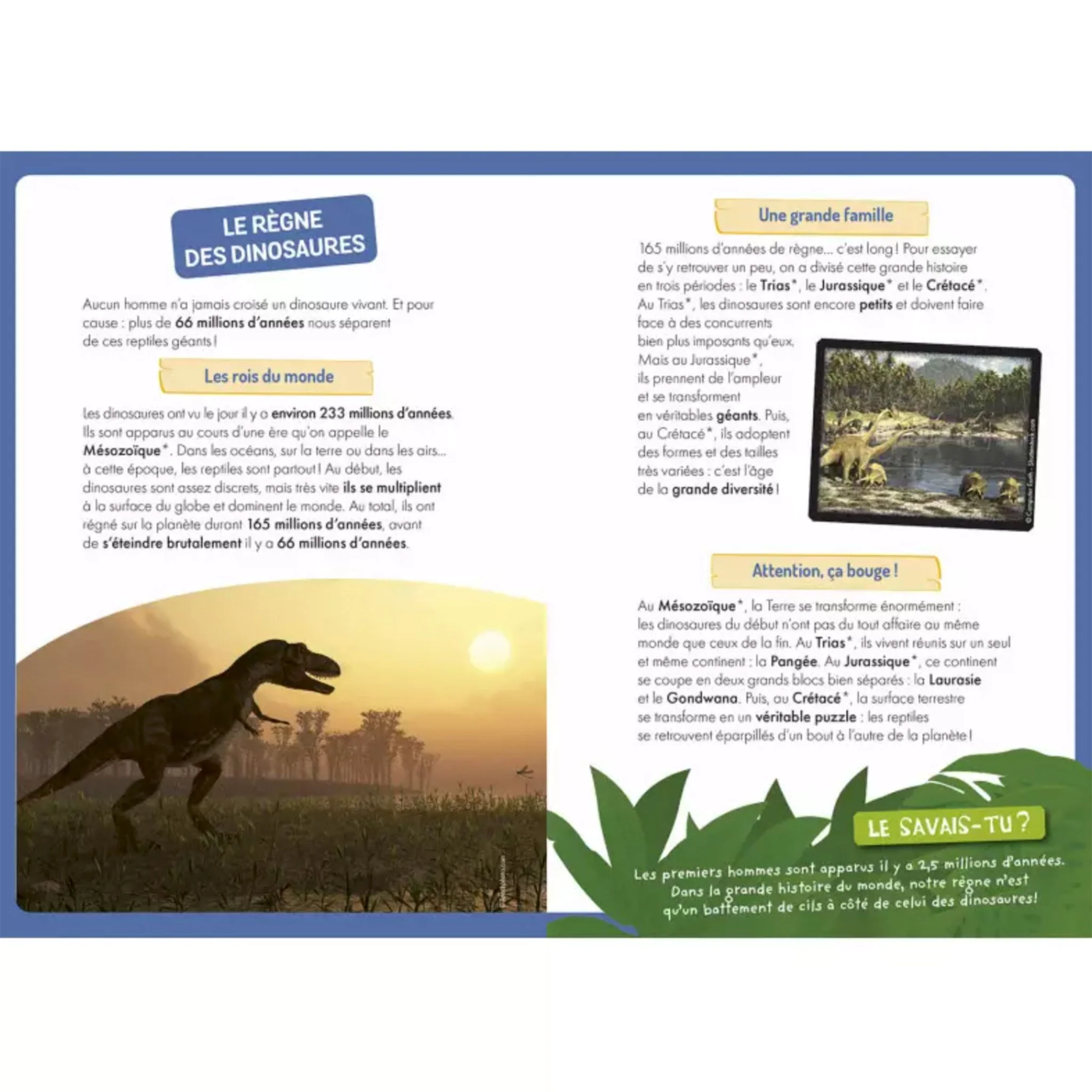 À La Découverte Des Dinosaures - Image 2