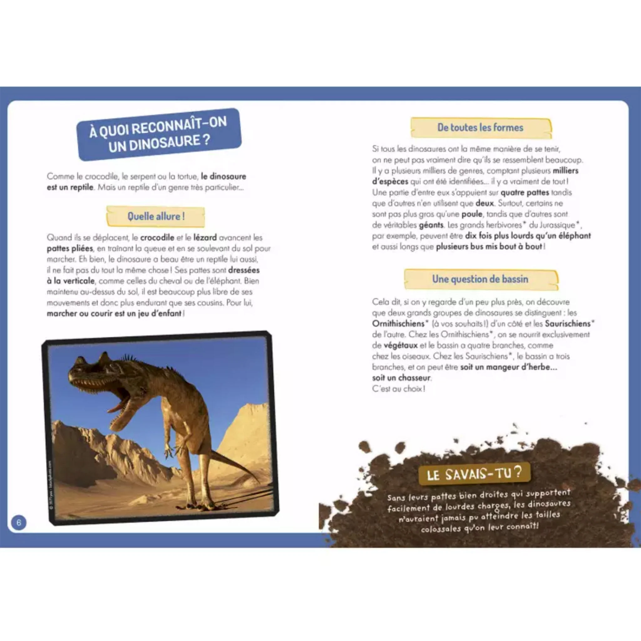 À La Découverte Des Dinosaures - Image 3