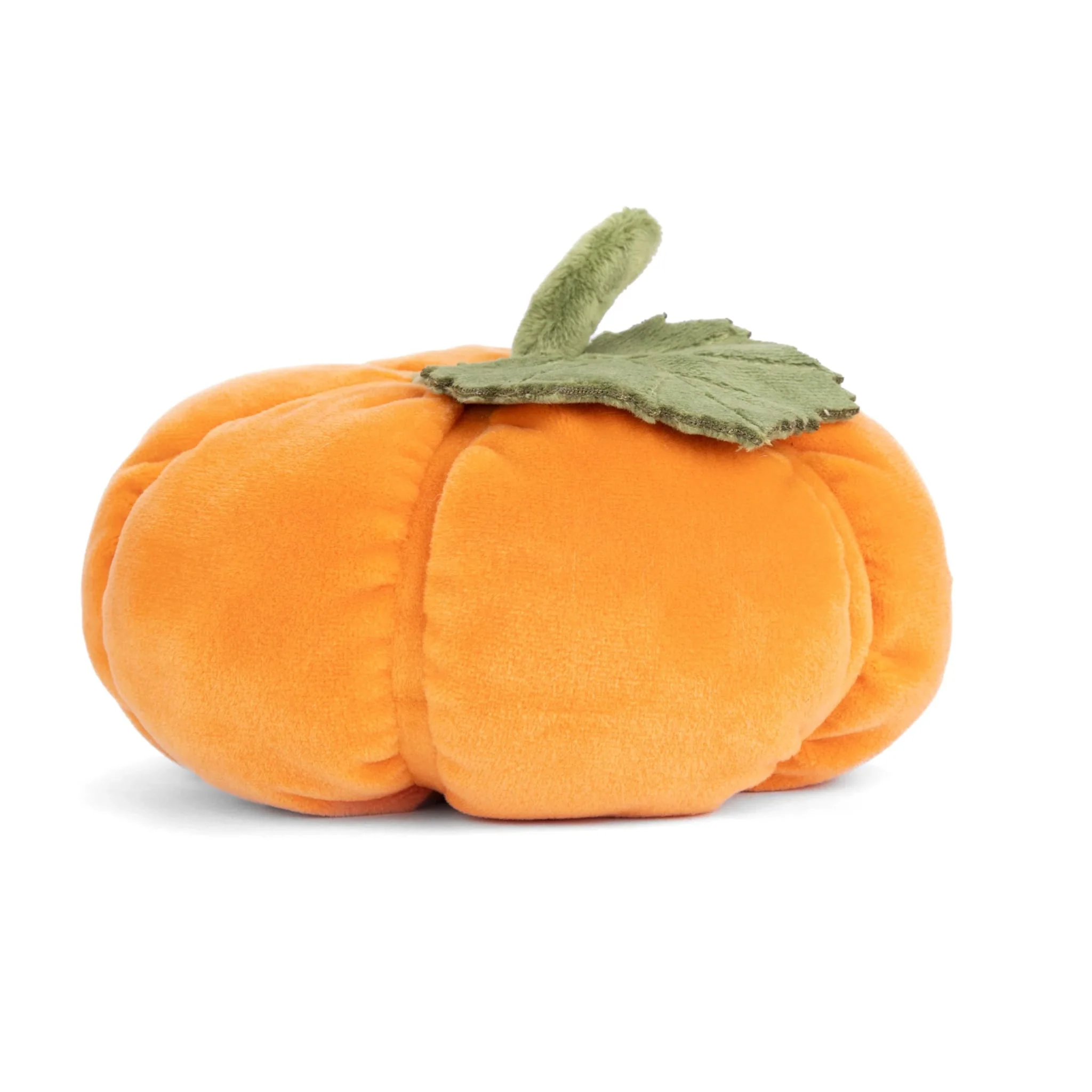 Bébé Citrouille - Image 3