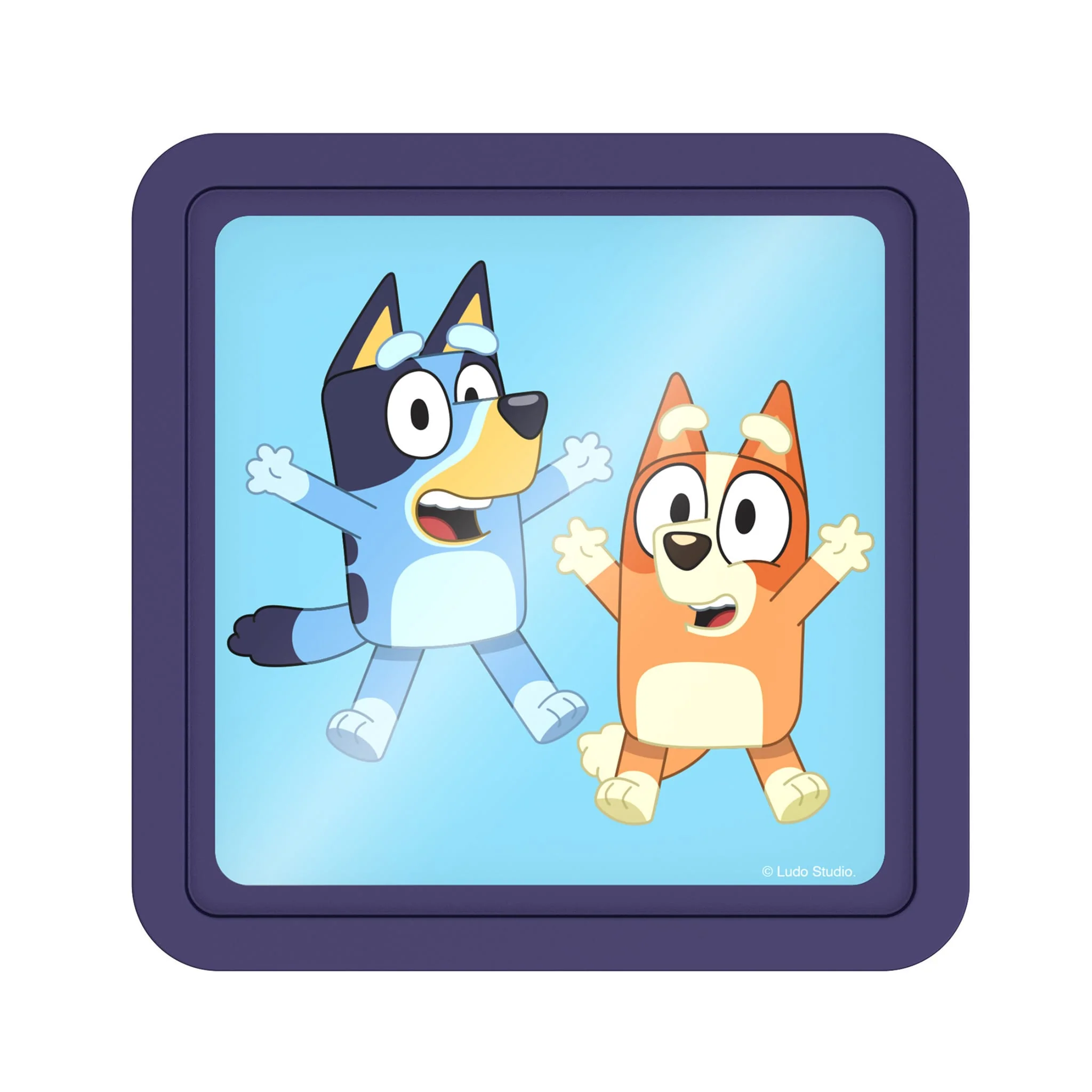 Bloc de Glace Réutilisable - Bluey