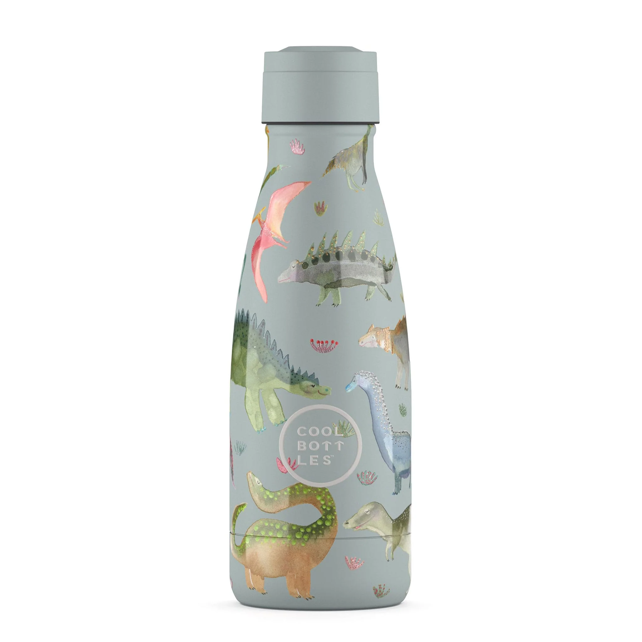 Bouteille 260ml - Dinos Planet - Image 2