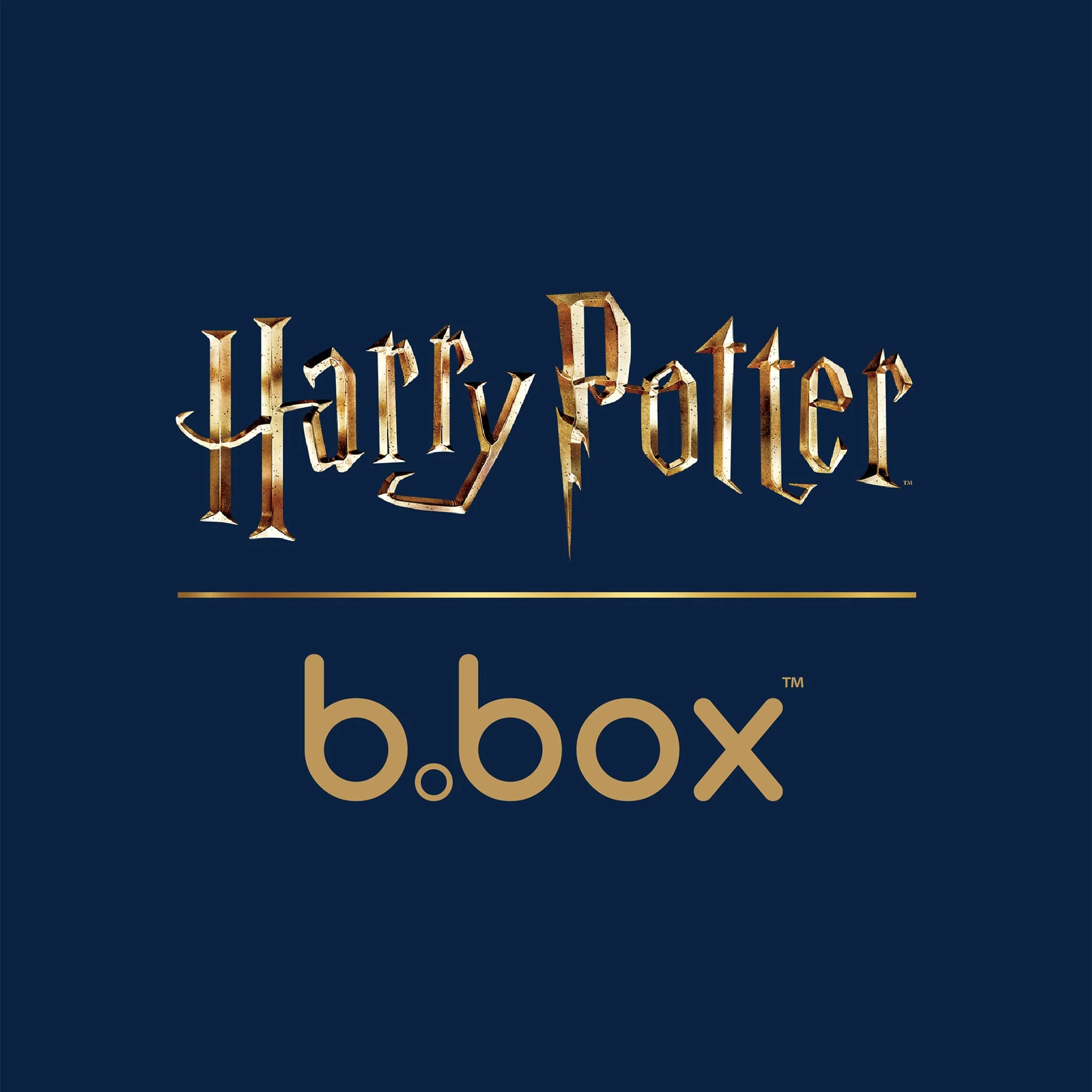 Bouteille Isotherme 350ml - Harry Potter - Image 5