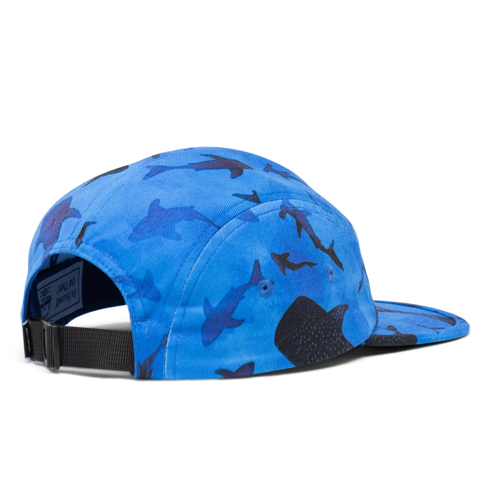 Casquette Glendale 2-7ans - Requins - Image 2