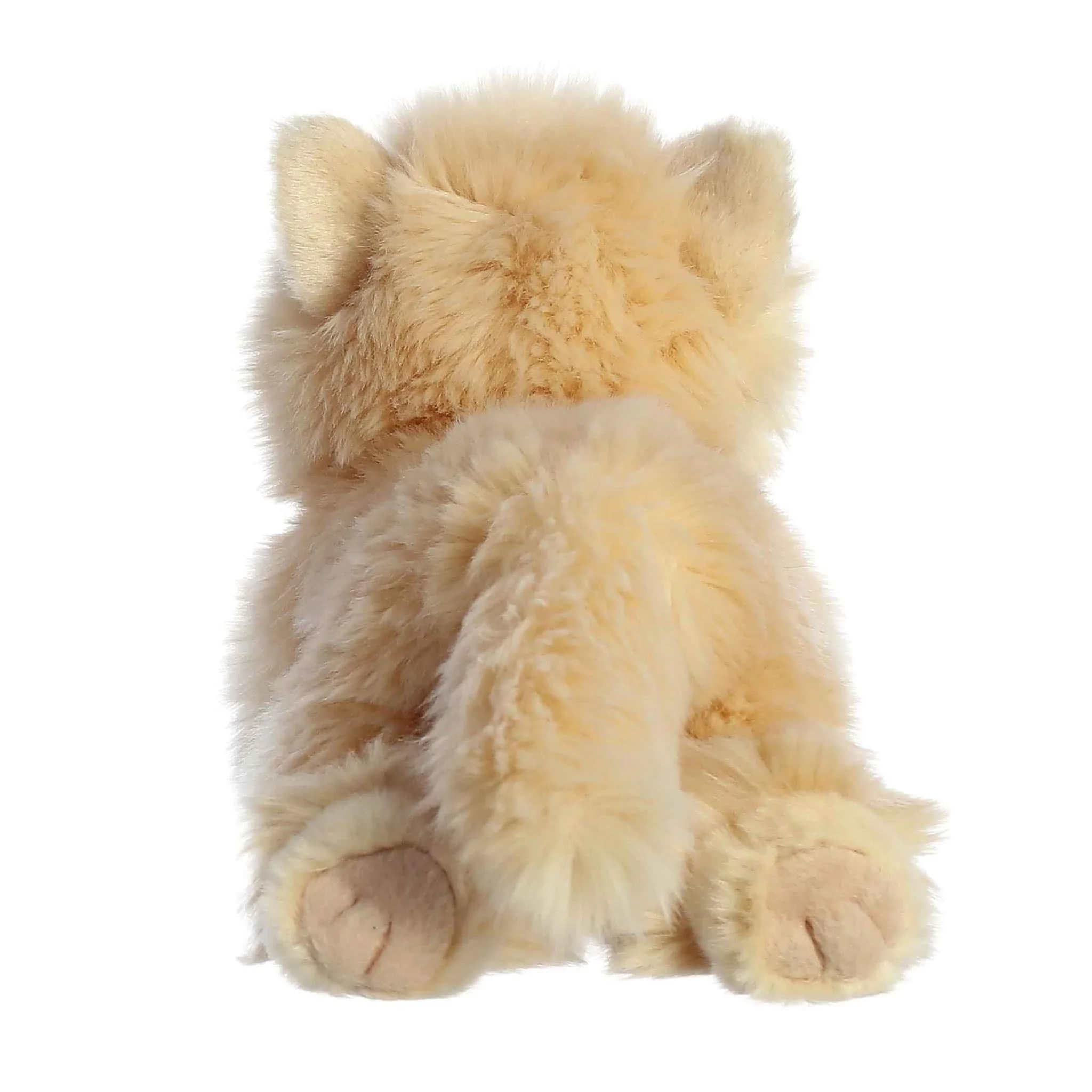 Chat Persan 8.5" - Image 3