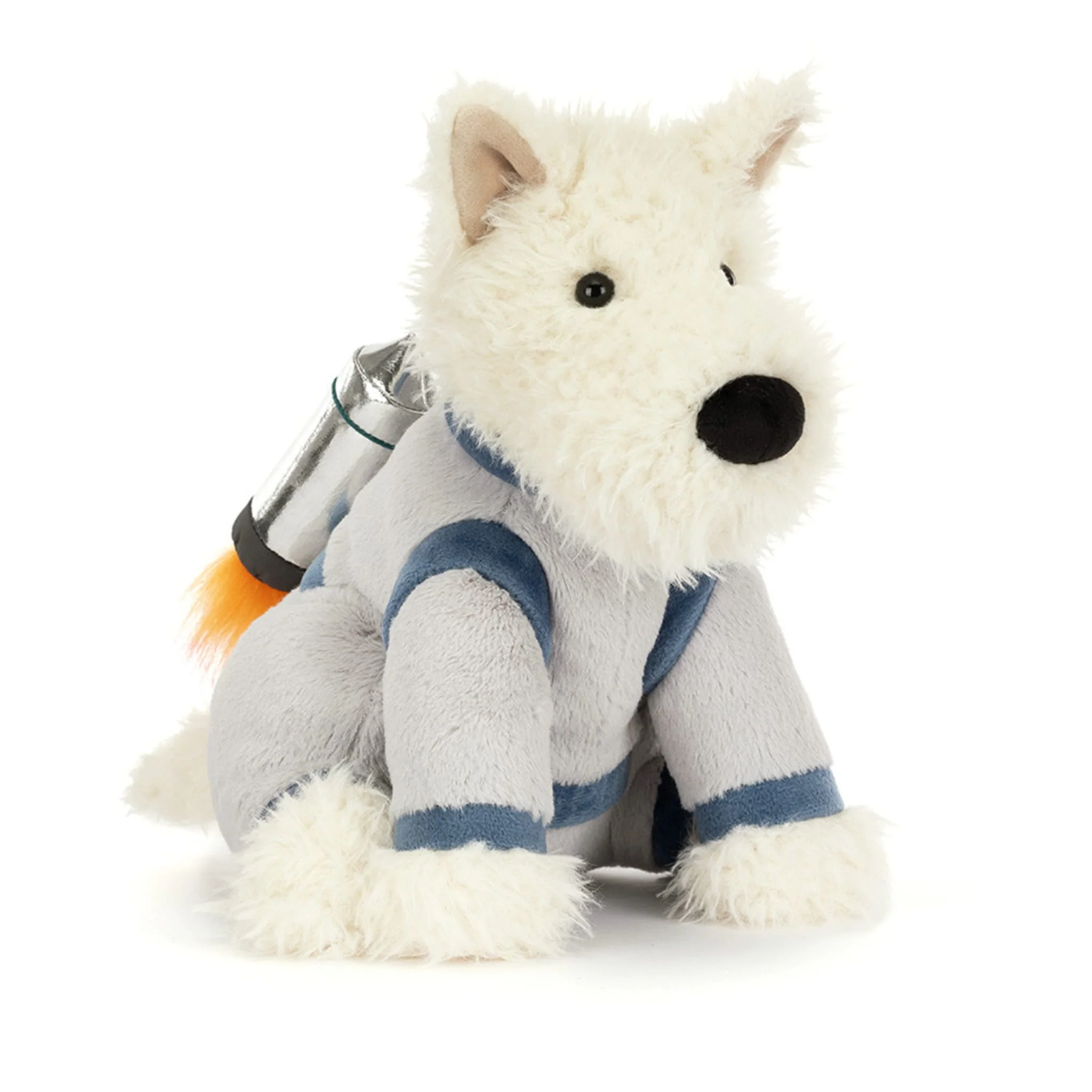 Chien Munro De L'espace
