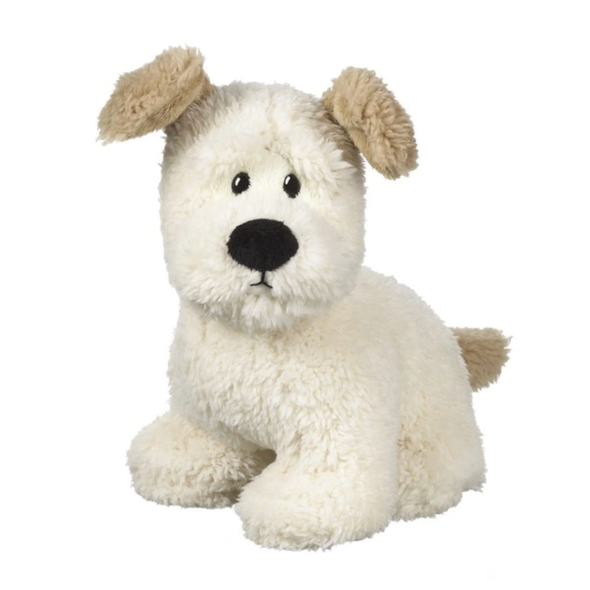 Chien Ralph
