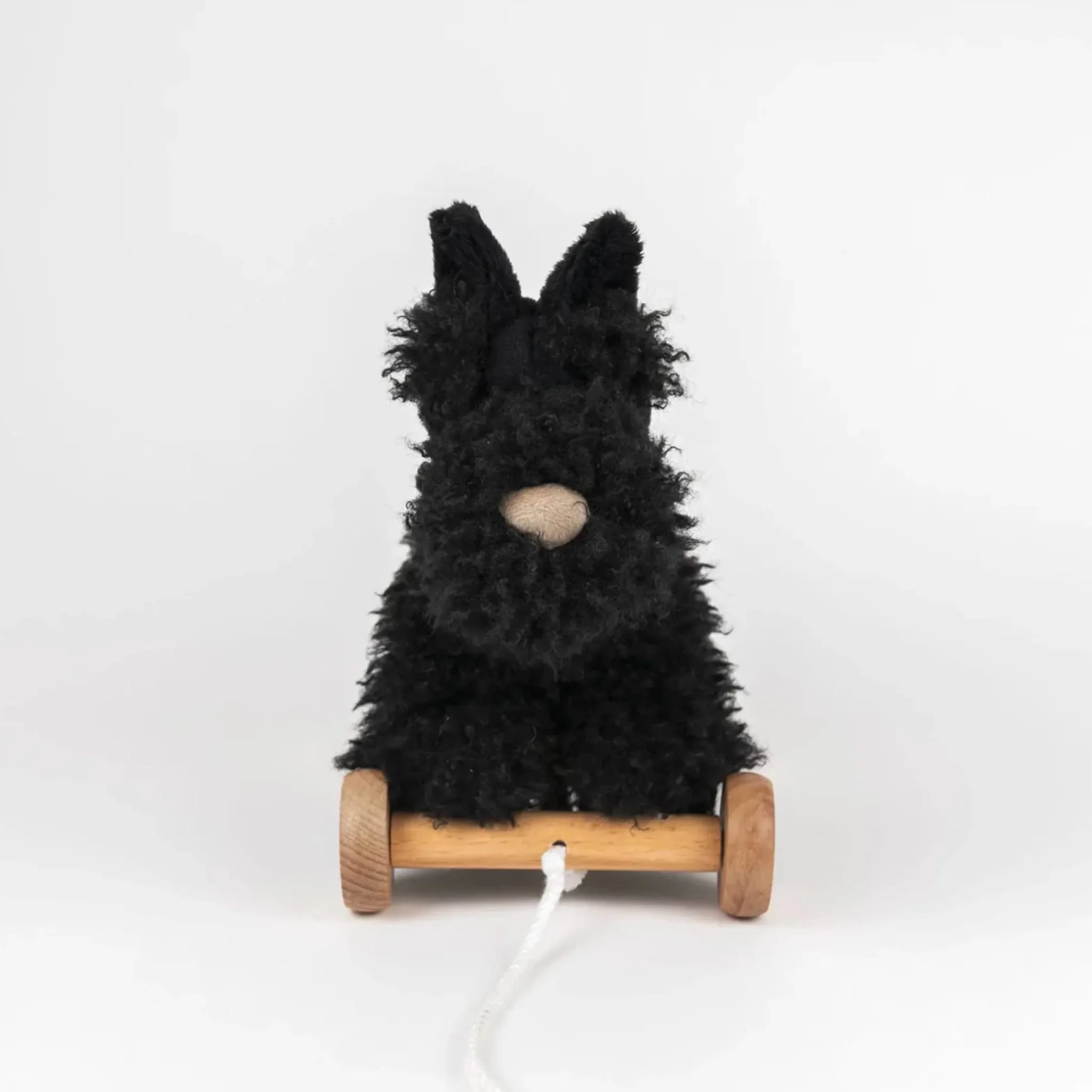 Chien Walter à Tirer - Image 4