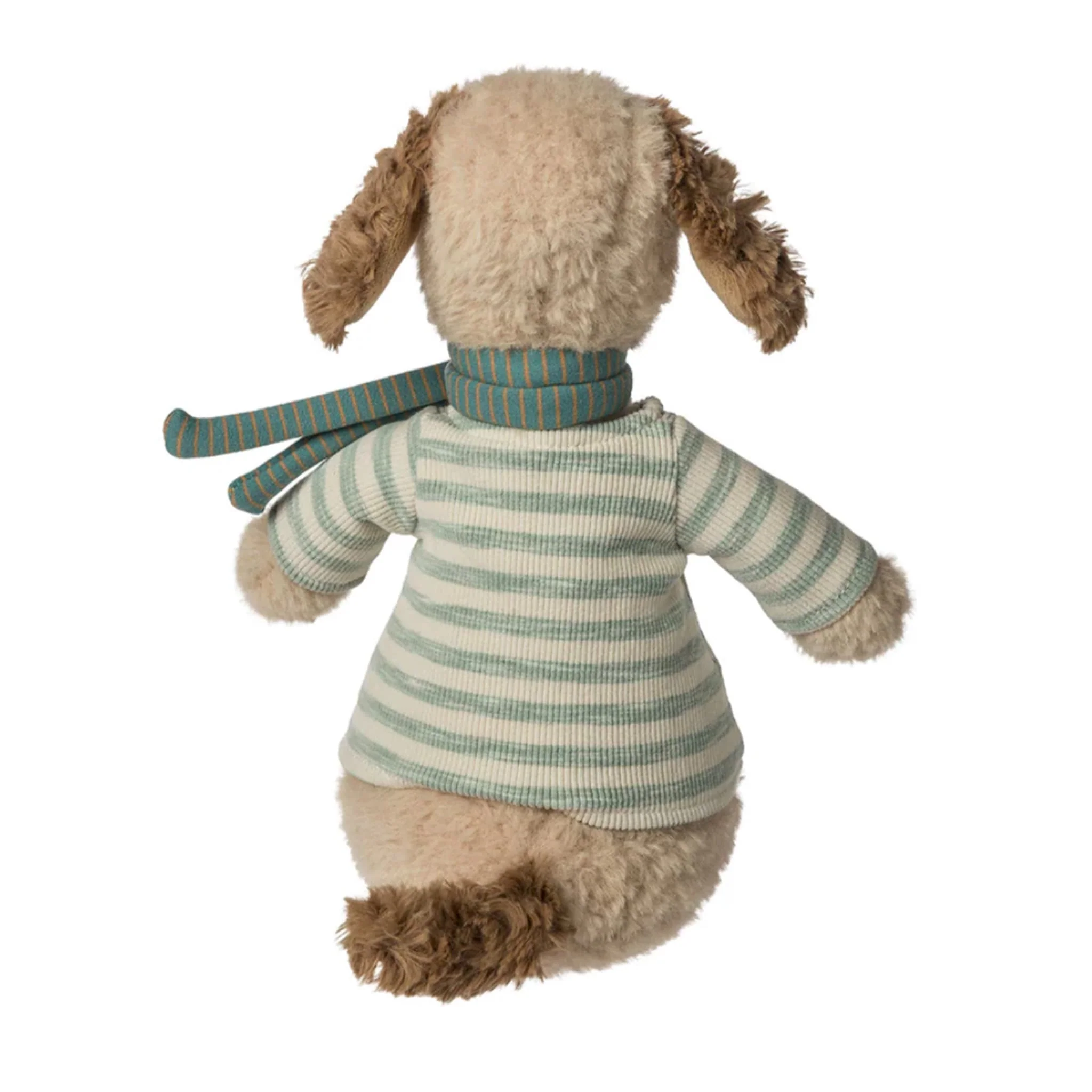 Chiot Weston - Image 3