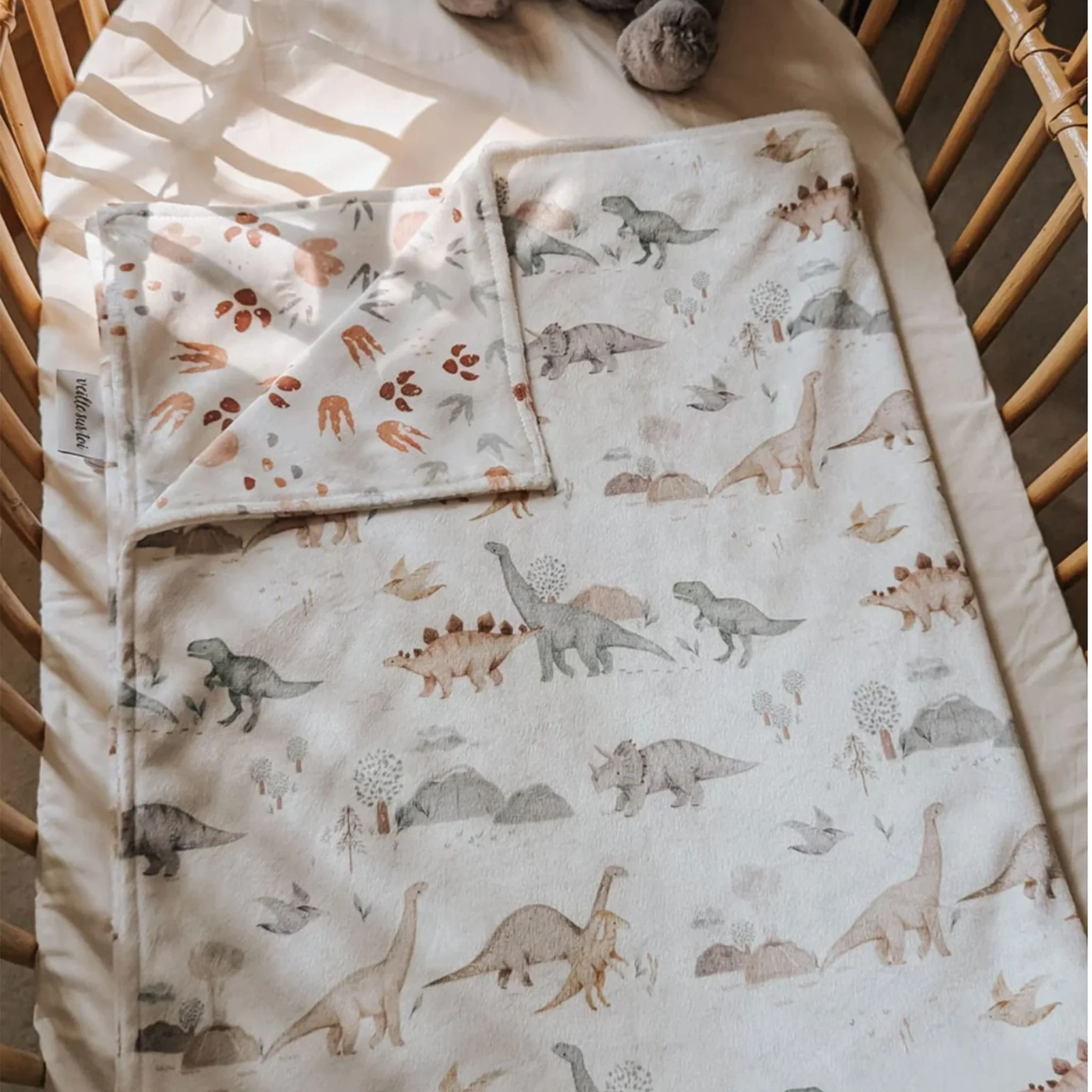 Petite Couverture Minky - Jurassique - Image 2