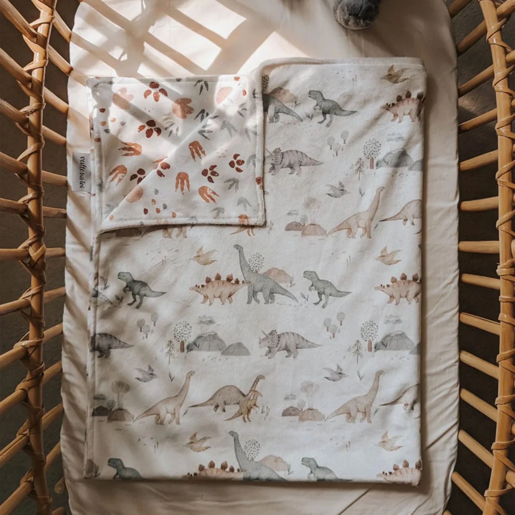 Petite Couverture Minky - Jurassique - Image 3