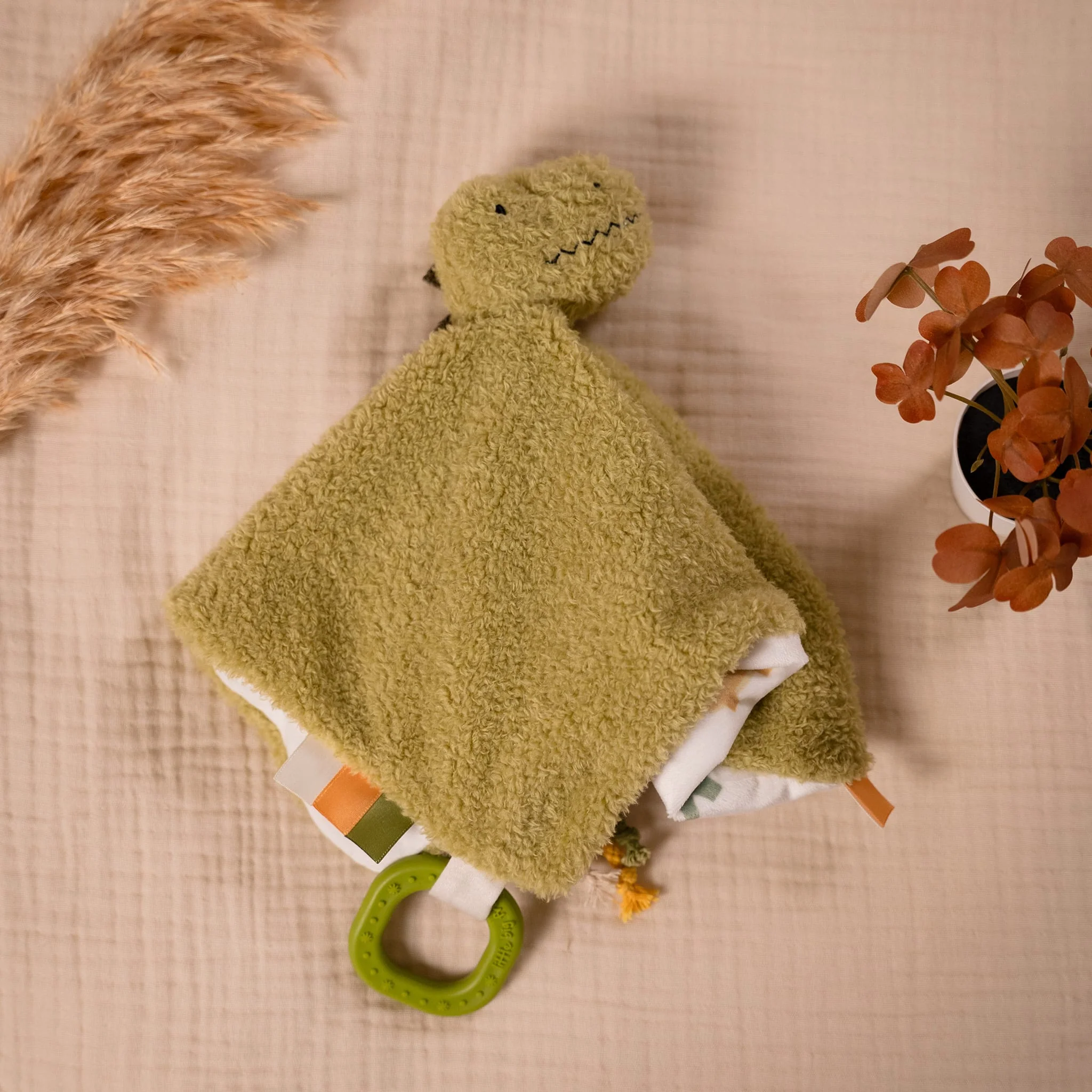 Doudou Rex Le Tyrannosaure - Image 8