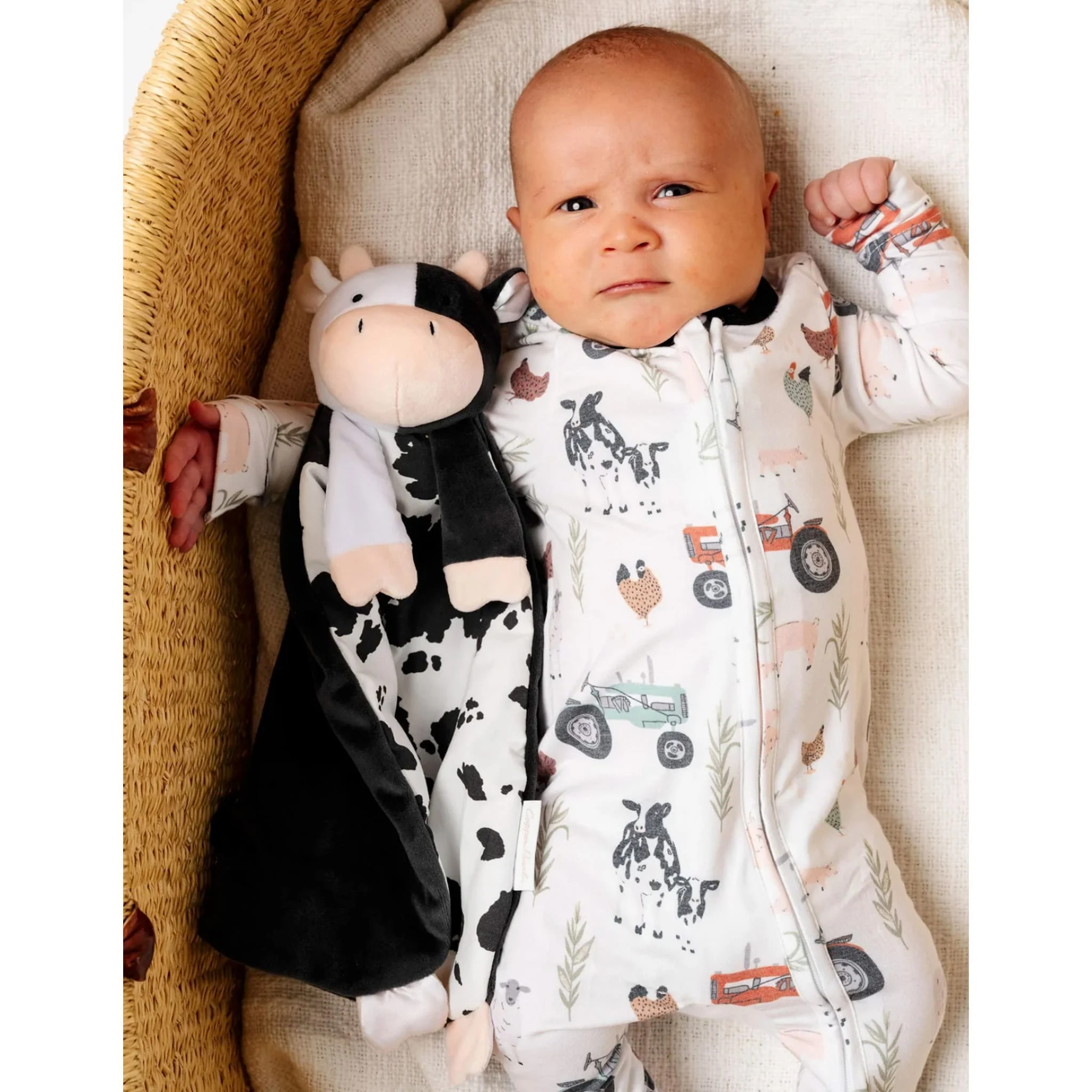 Doudou Vache Colby - Image 4