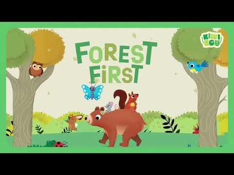 Forest First - Image 4