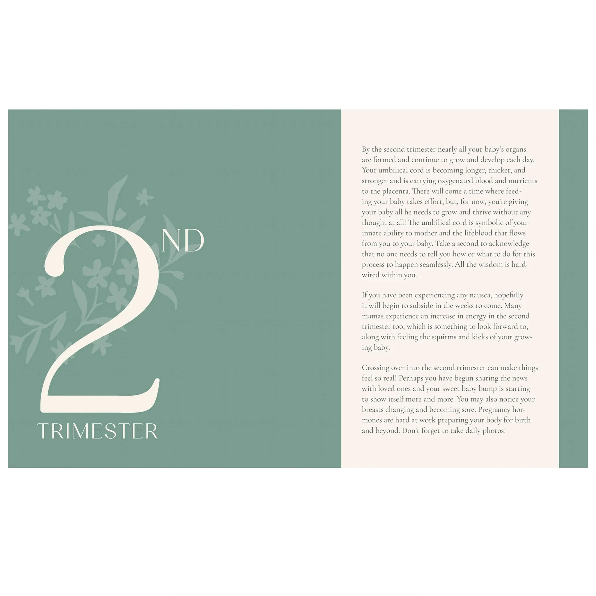 Growing Together Pregnancy Journal - Image 2