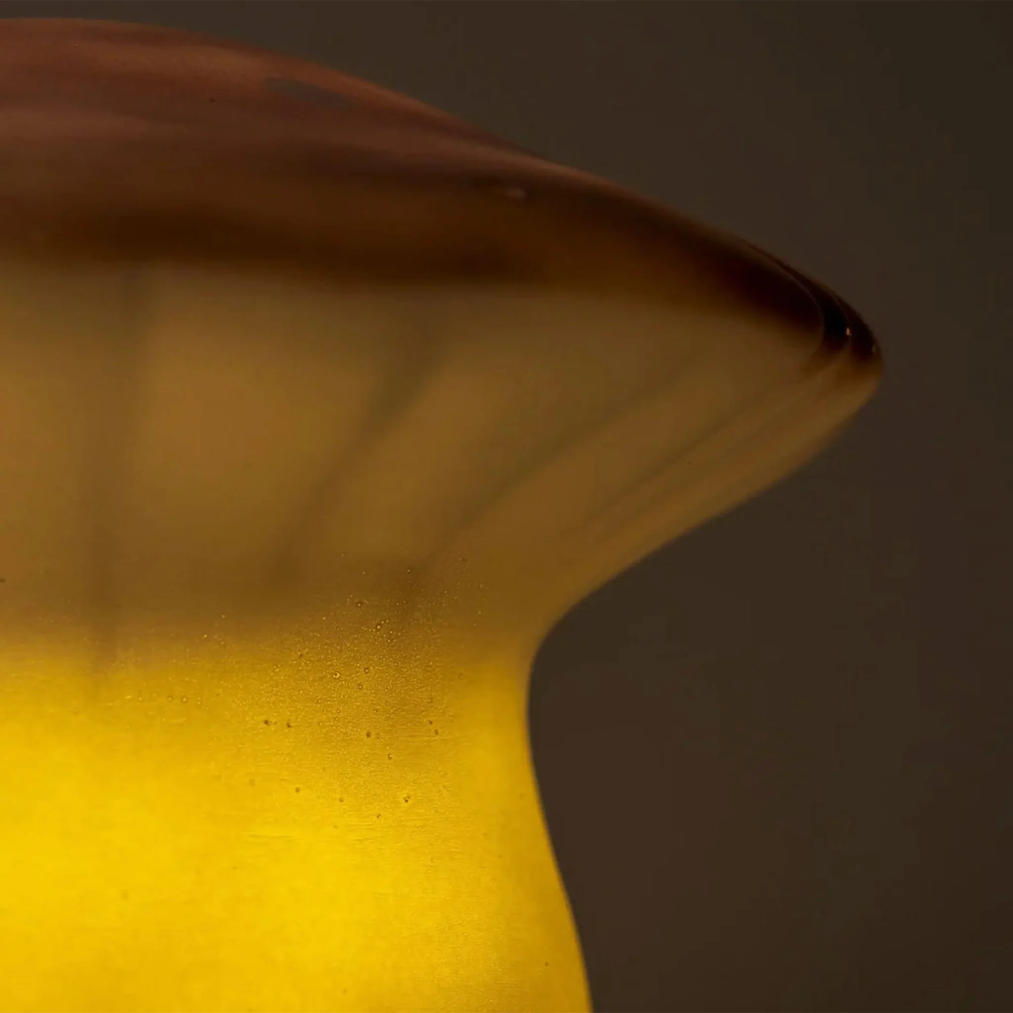 Lampe Champignon - Lavande - Image 9