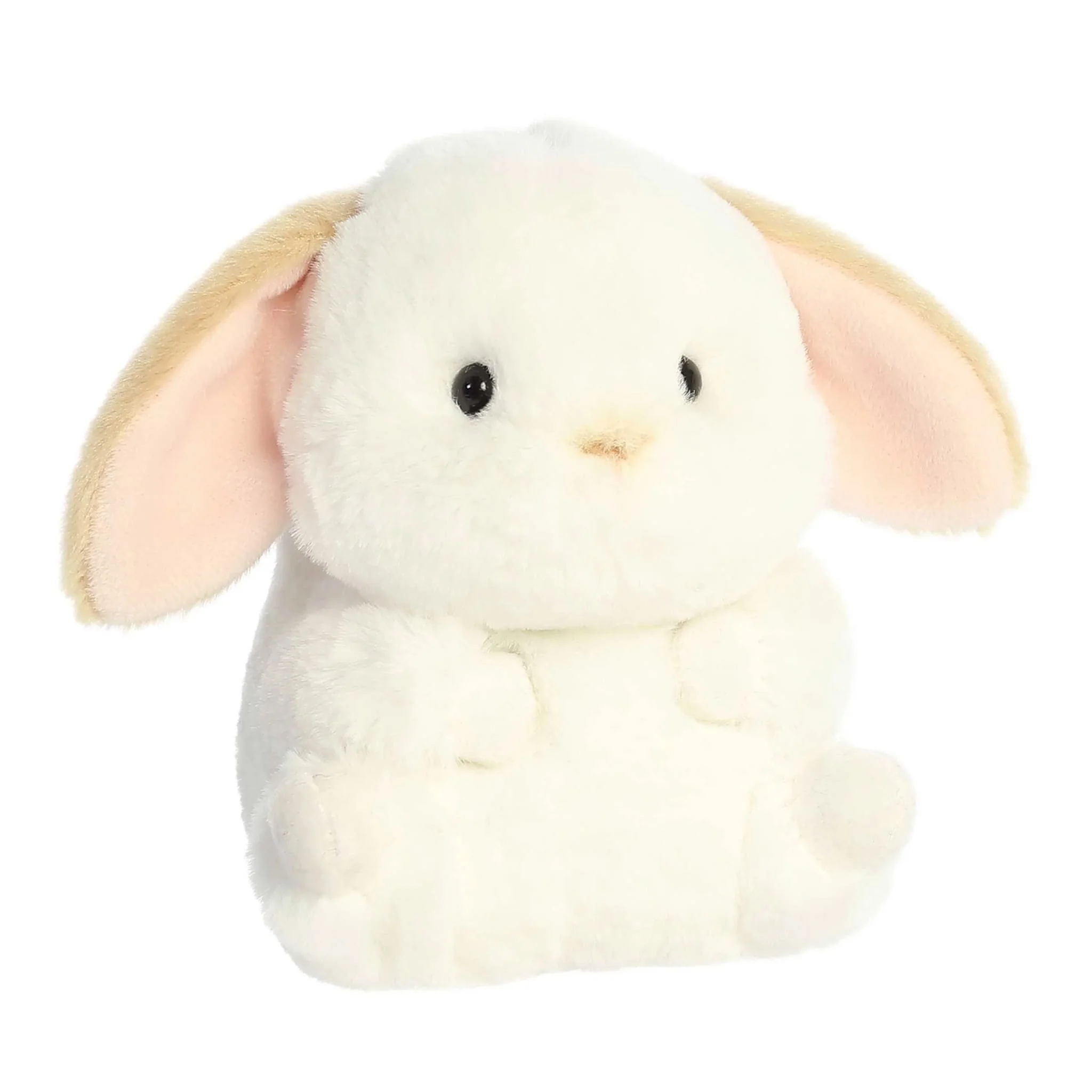 Lapin