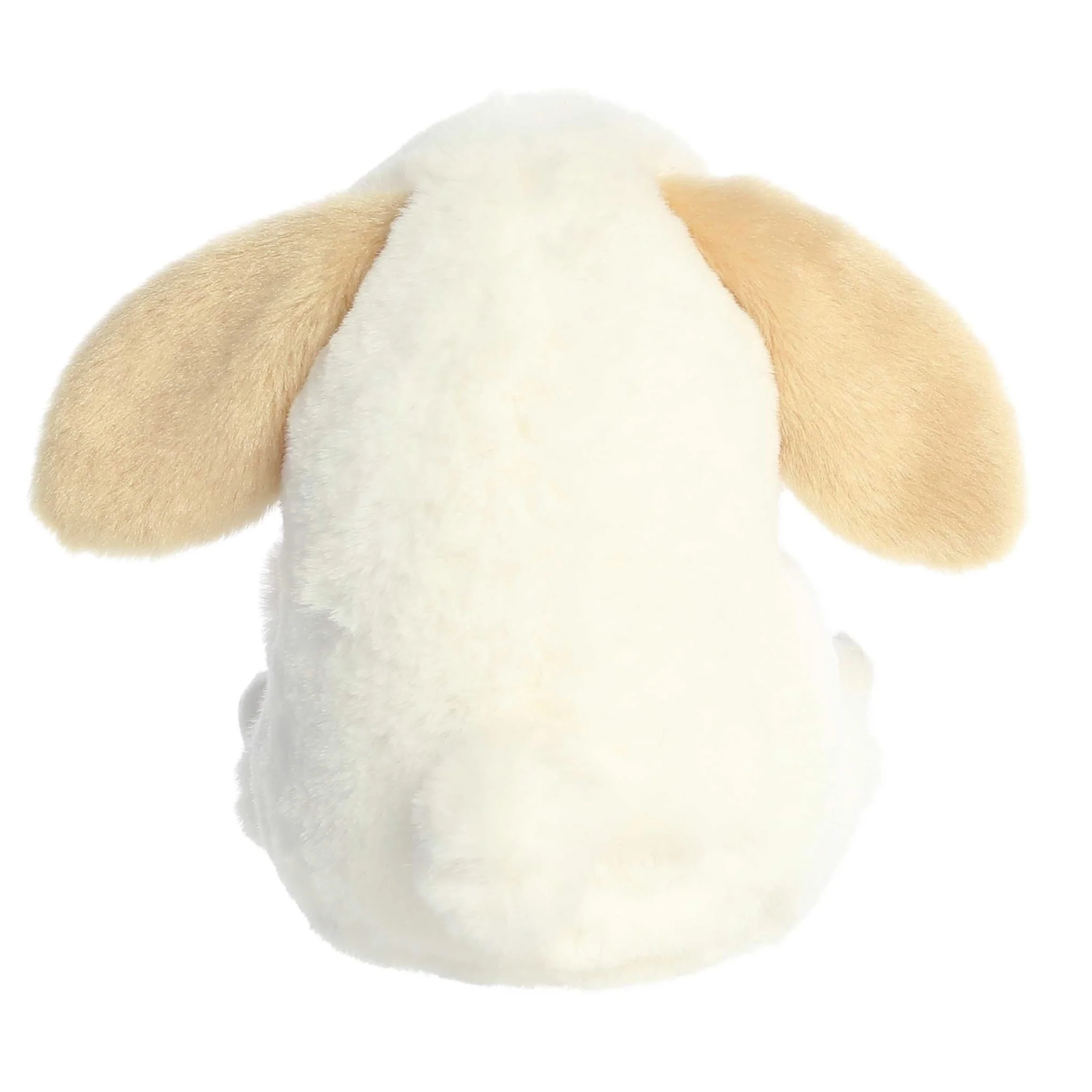 Lapin - Image 4