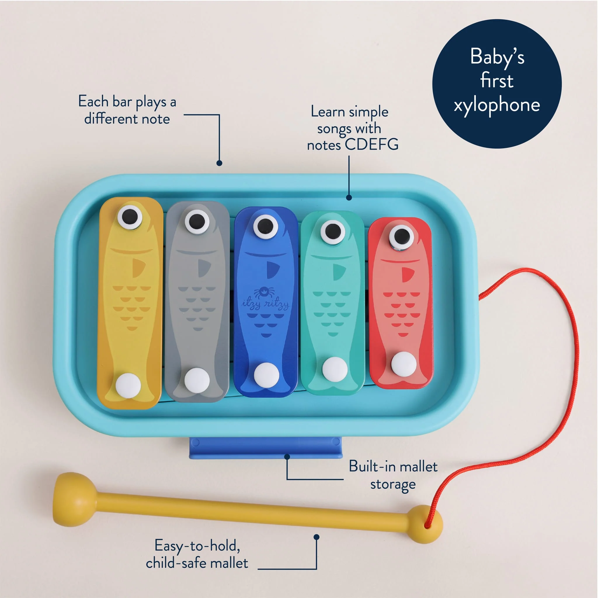 Xylophone Sardines - Image 3