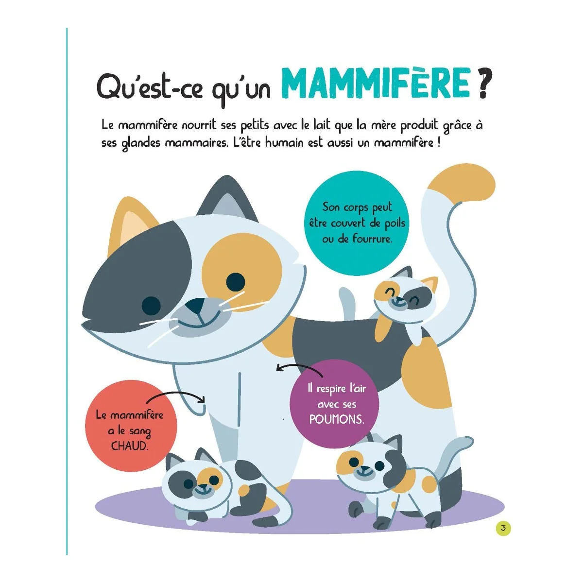 Mon Encyclopetit des Animaux - Image 3