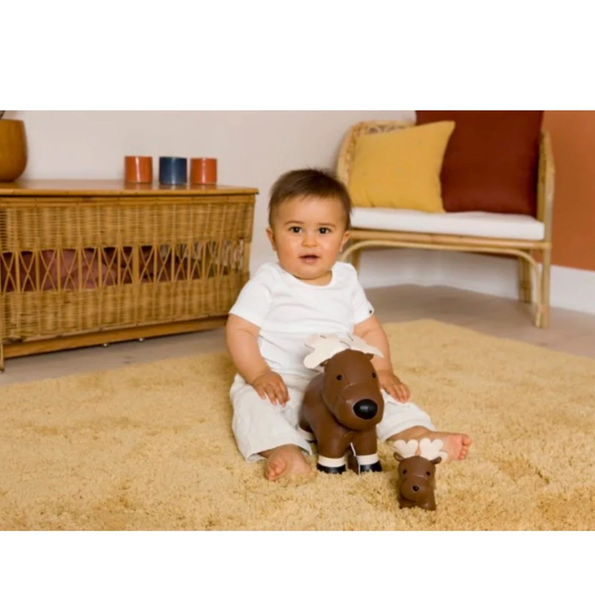 Les Petits Animaux - Bruce - Image 5