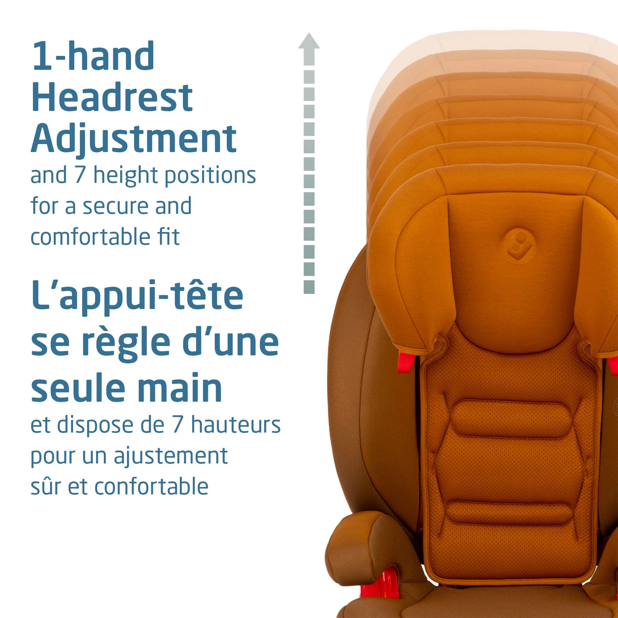 Siège d'Appoint RodiSport - Authentique Cognac - Image 3