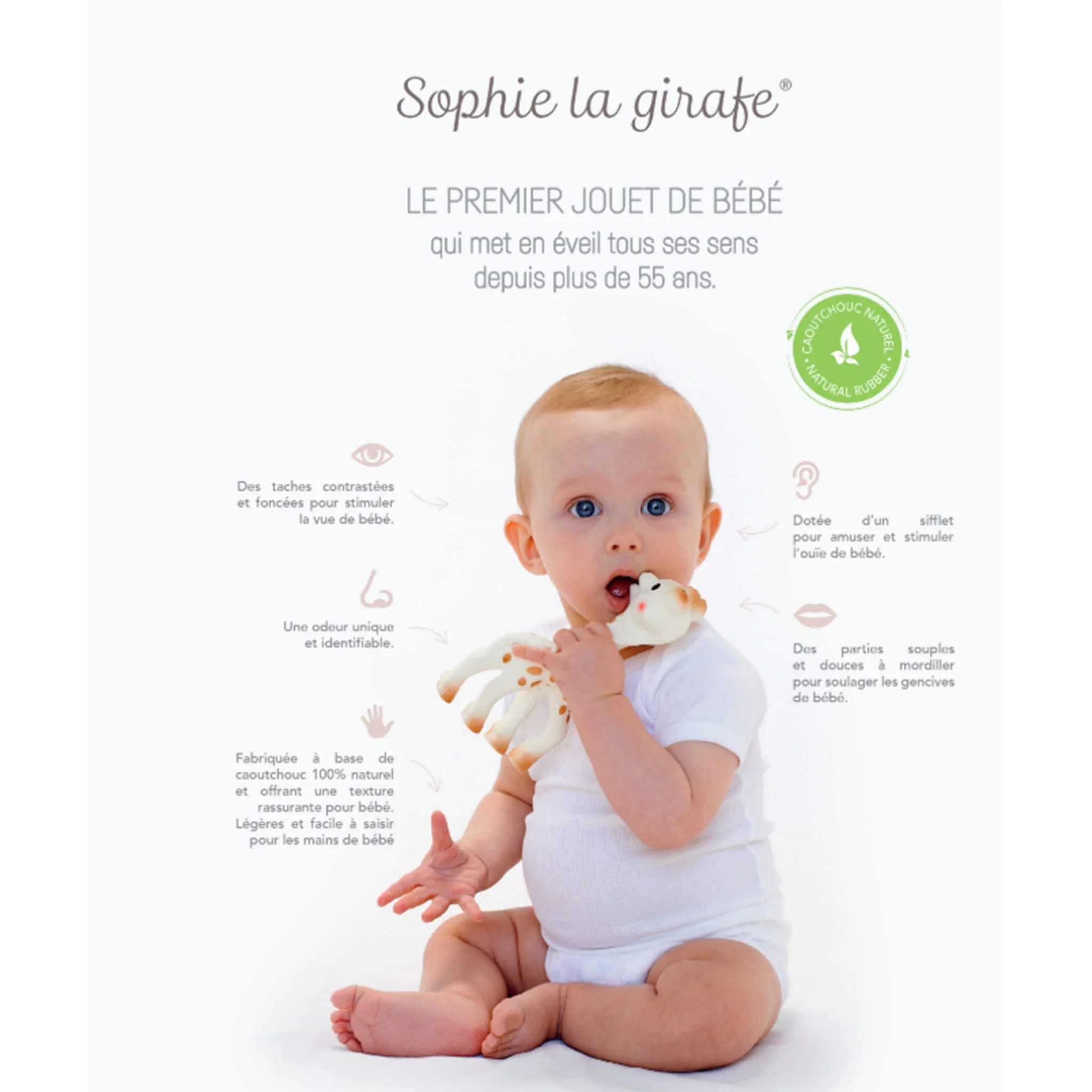 Sophie La Girafe - Image 3
