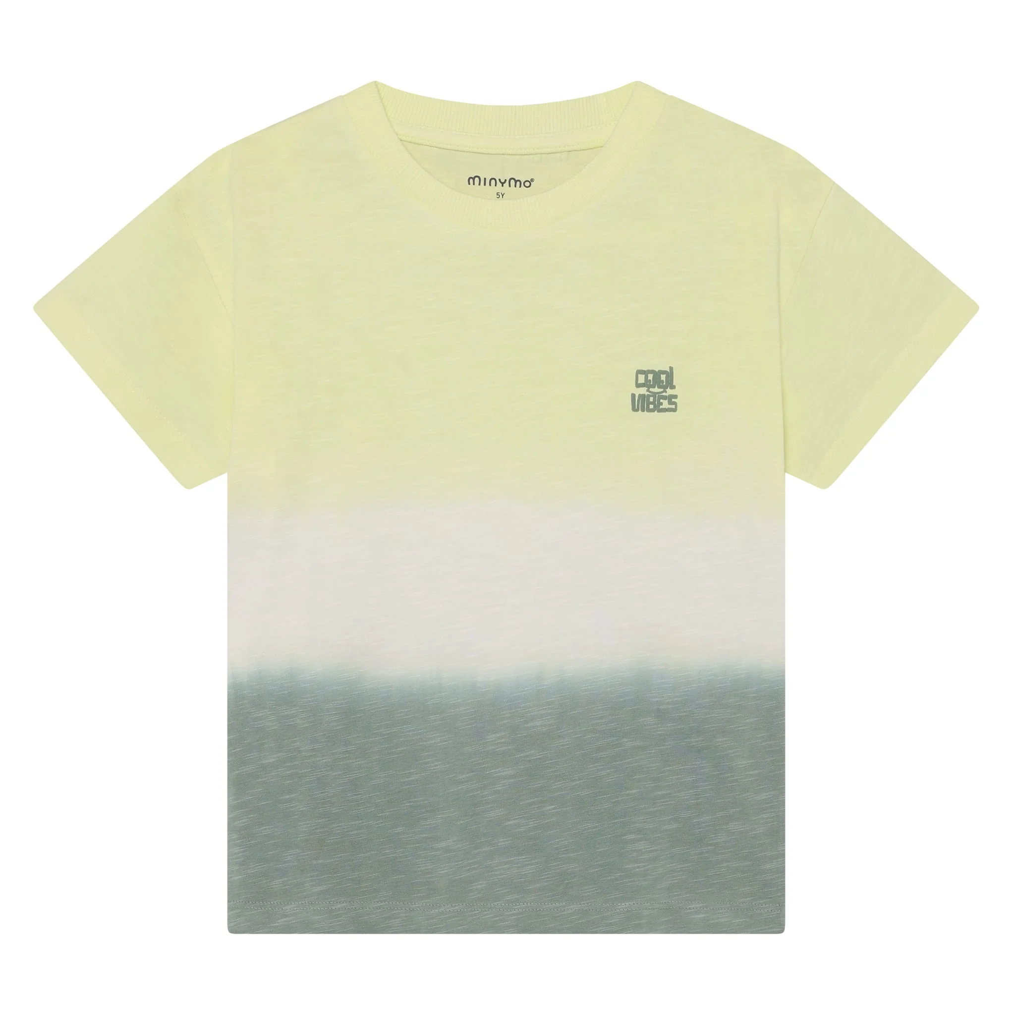 T-shirt Dégradé 3-8ans