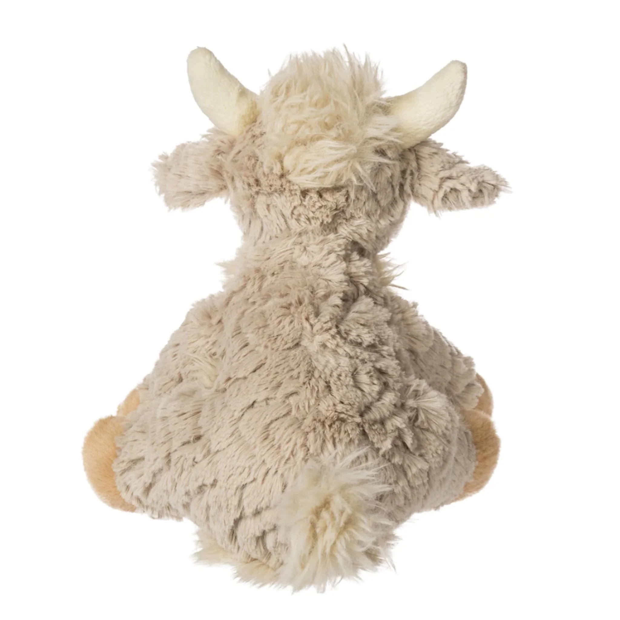 Vache Highland - Image 3